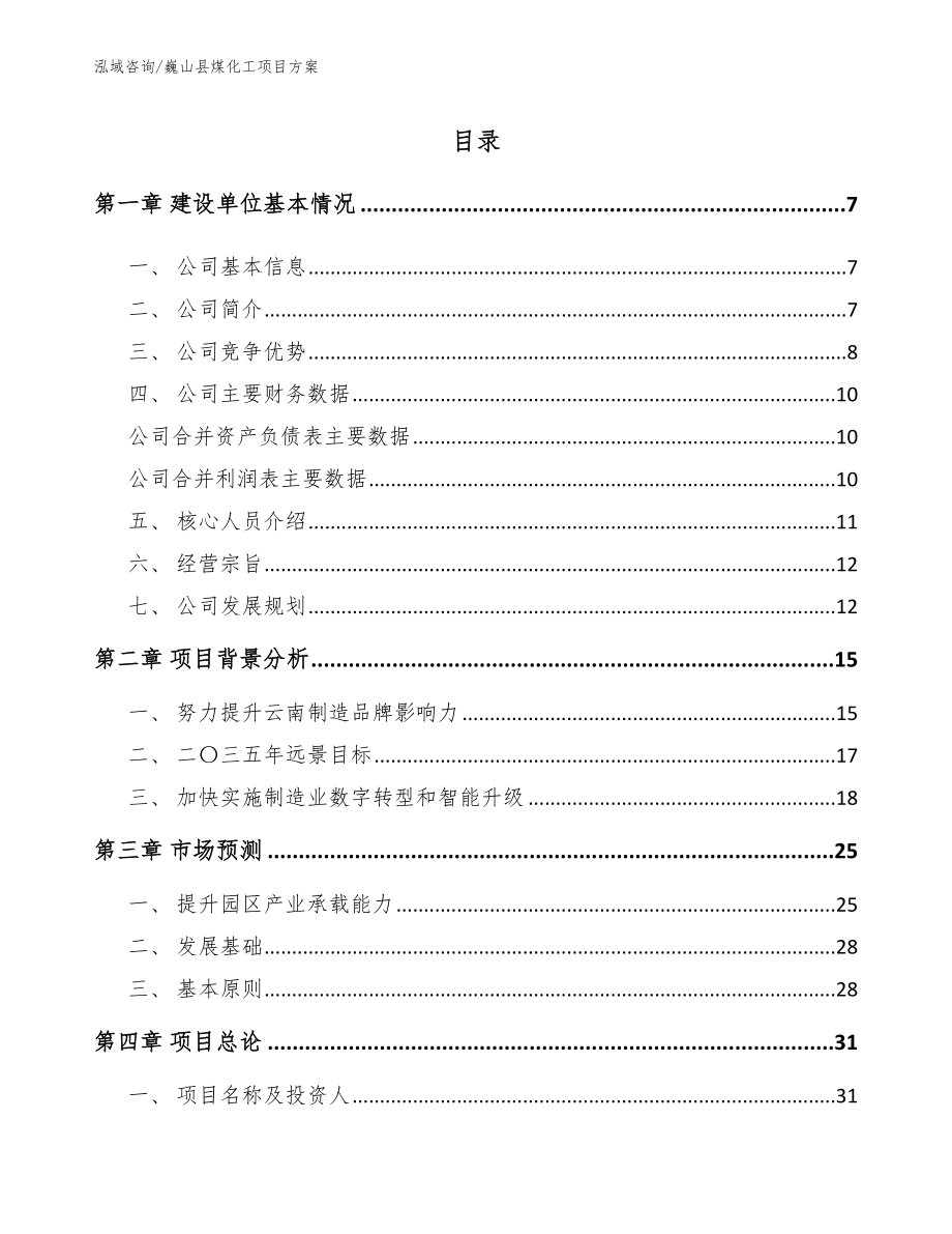 巍山县煤化工项目方案_第1页