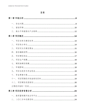 师宗县硅项目评估报告（范文参考）