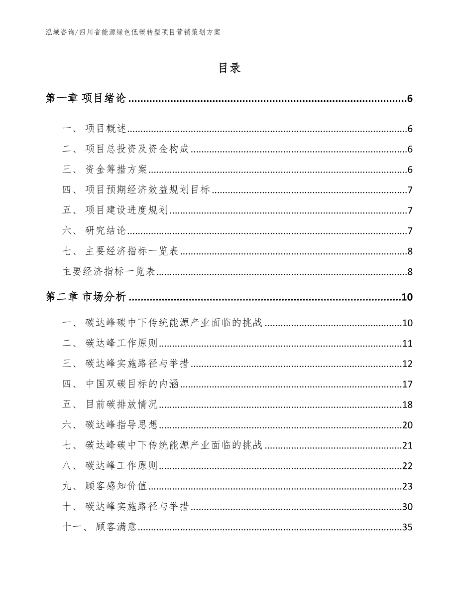 四川省能源绿色低碳转型项目营销策划方案（参考模板）_第1页