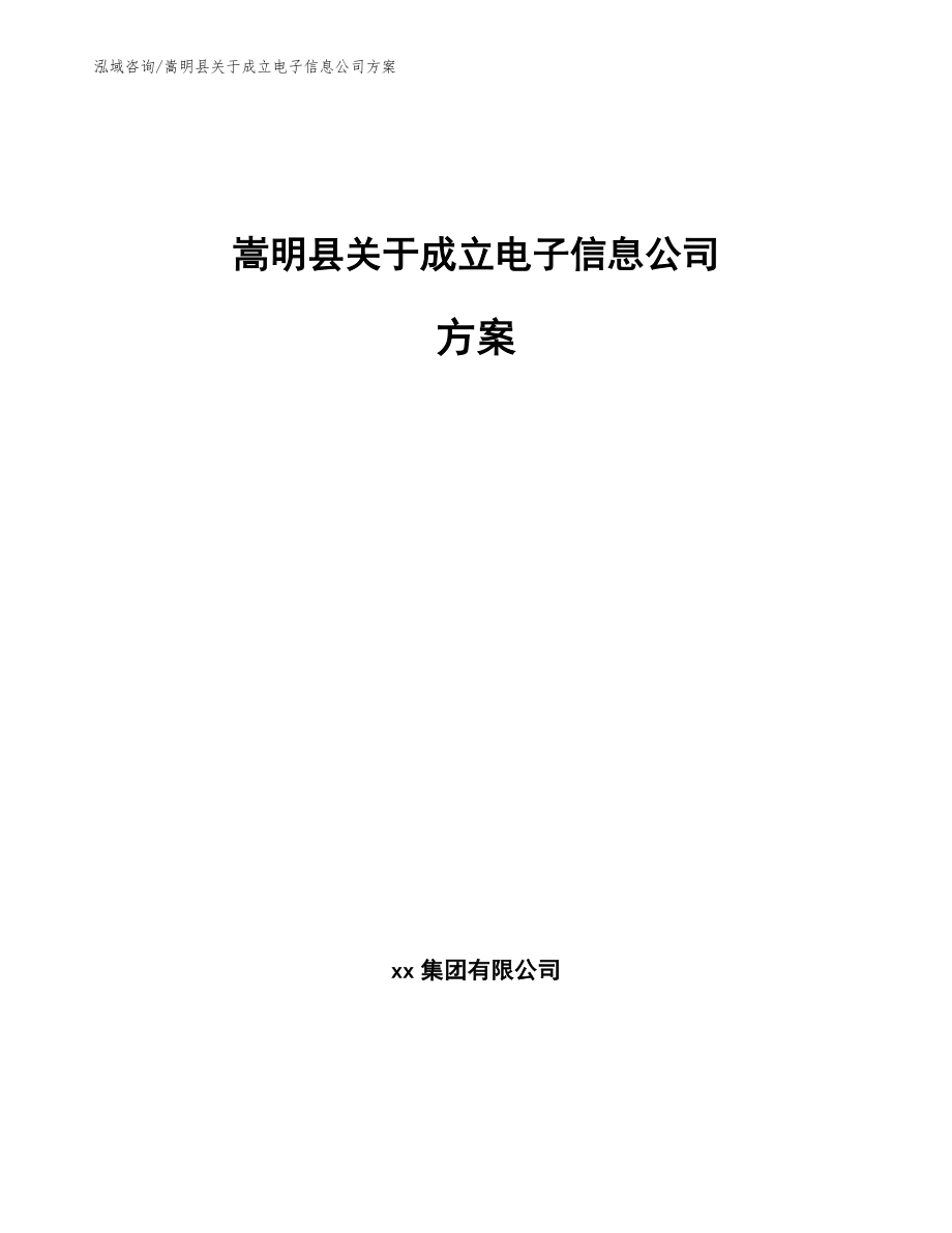 嵩明县关于成立电子信息公司方案_第1页