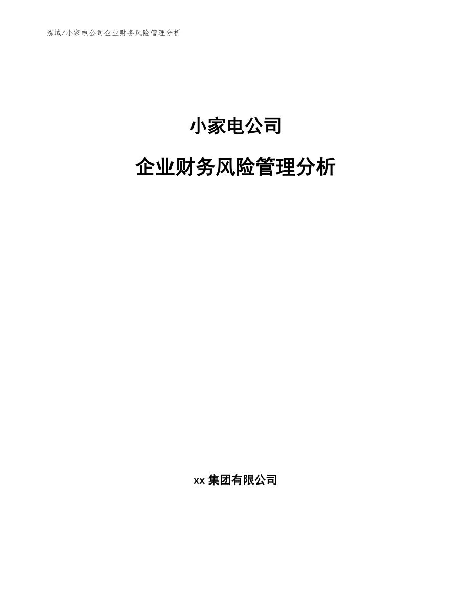 小家电公司企业财务风险管理分析_范文_第1页