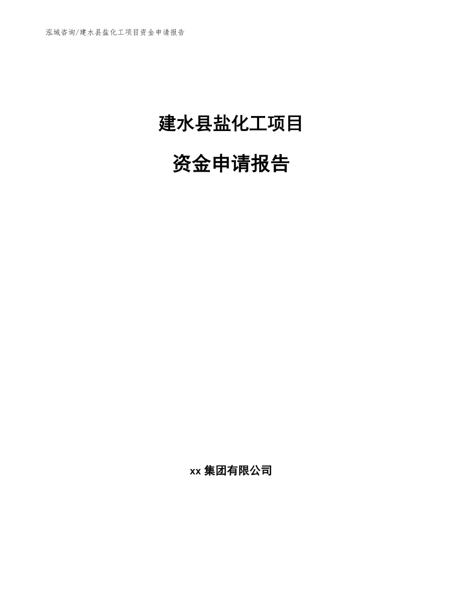 建水县盐化工项目资金申请报告【参考模板】_第1页