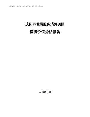 庆阳市发展服务消费项目投资价值分析报告