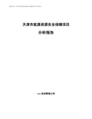 天津市能源资源安全保障项目分析报告【参考范文】