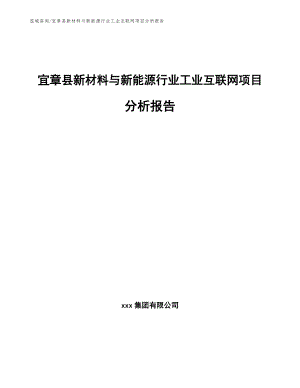 宜章县新材料与新能源行业工业互联网项目分析报告