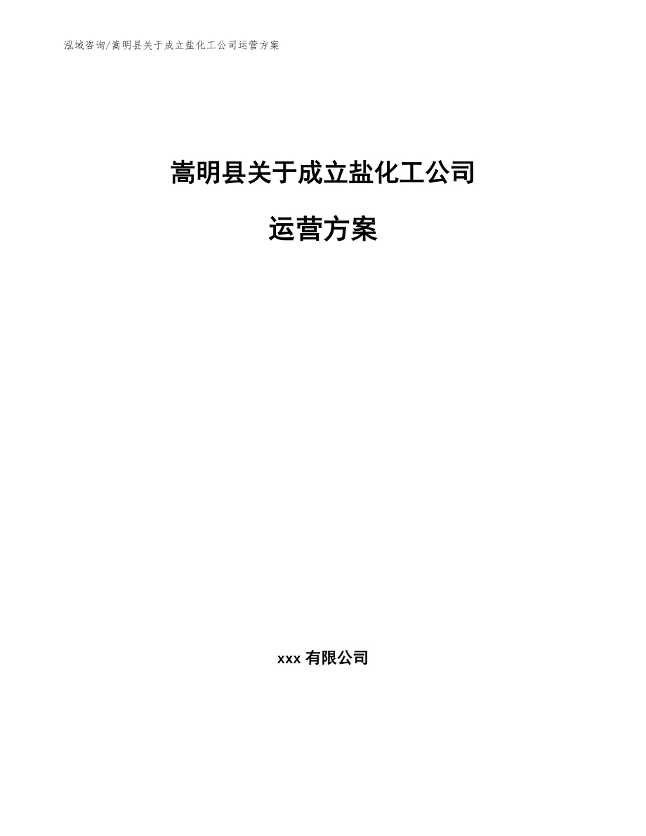 嵩明县关于成立盐化工公司运营方案【范文参考】_第1页