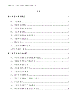 张家川县量值传递溯源体系项目规划方案（模板）