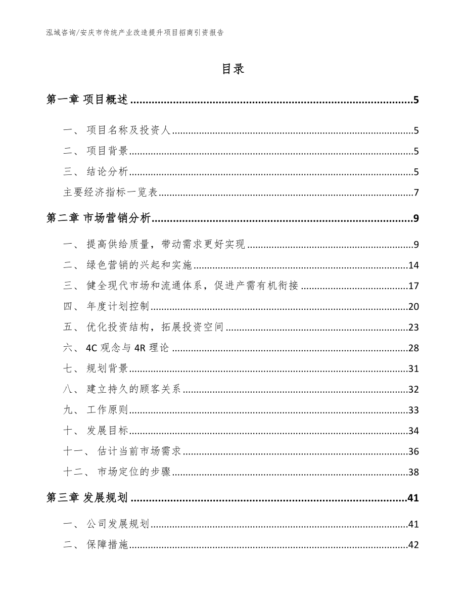 安庆市传统产业改造提升项目招商引资报告范文模板_第1页