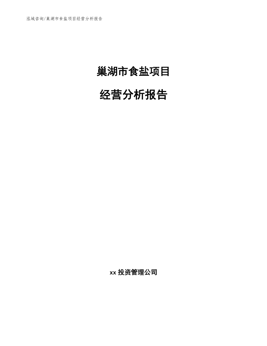 巢湖市食盐项目经营分析报告【模板】_第1页