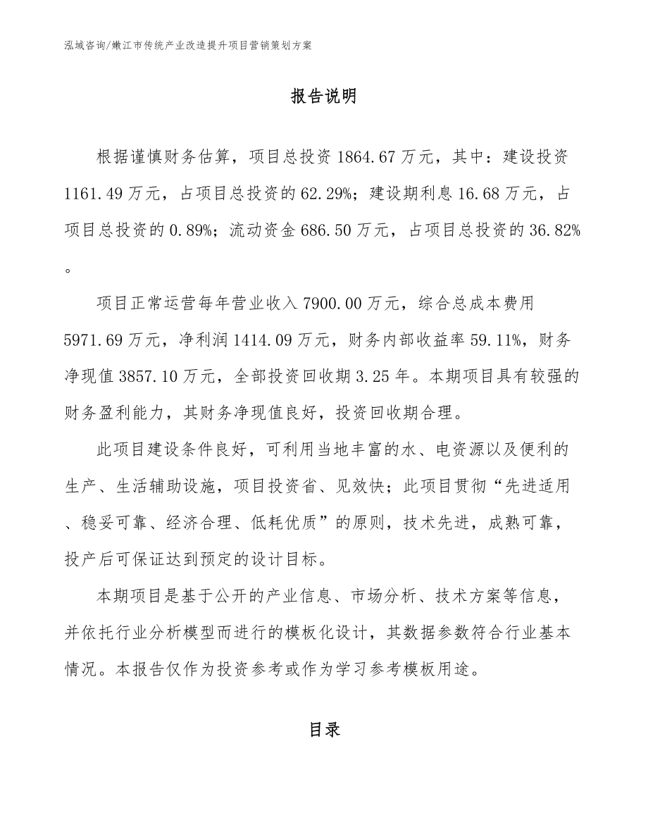嫩江市传统产业改造提升项目营销策划方案（范文）_第1页