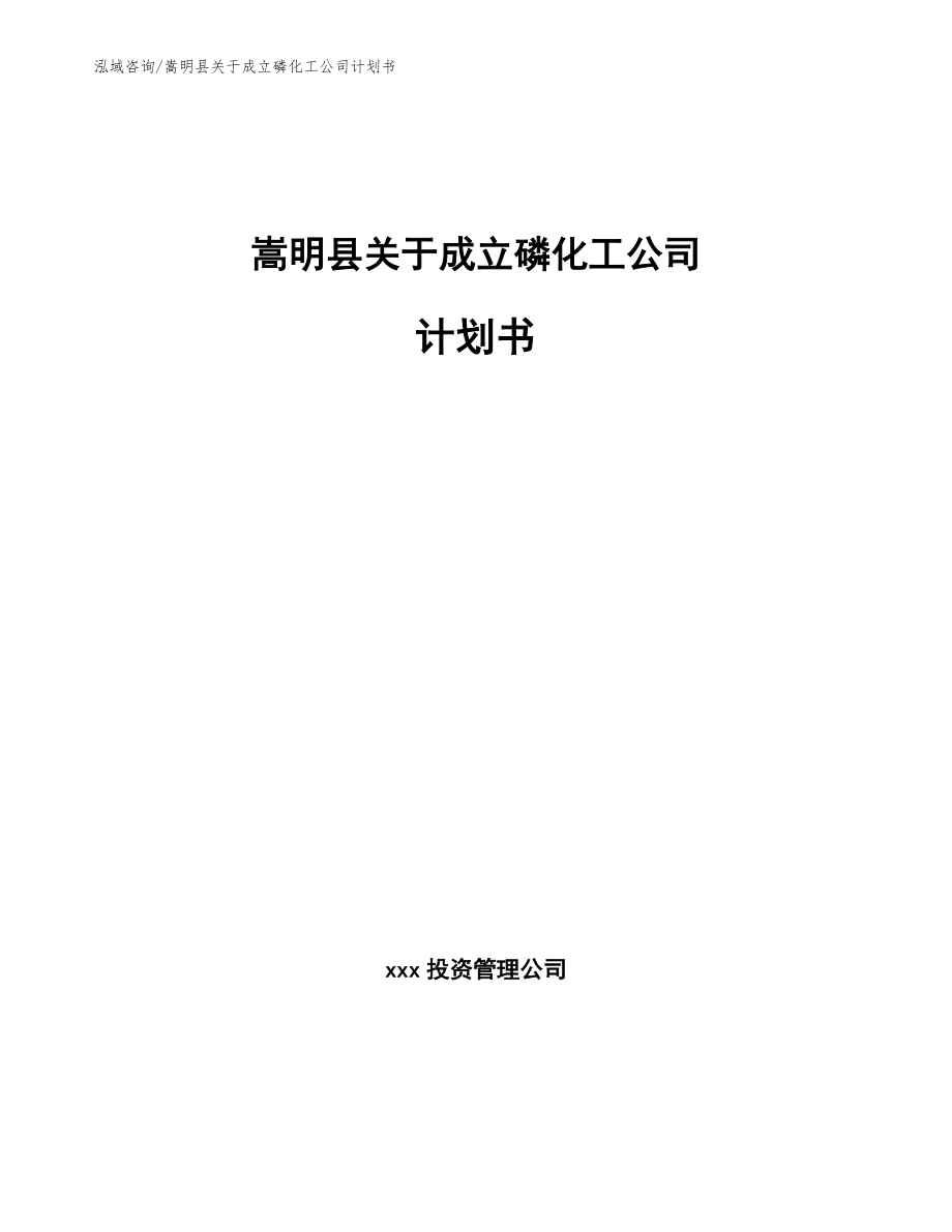 嵩明县关于成立磷化工公司计划书（模板参考）_第1页