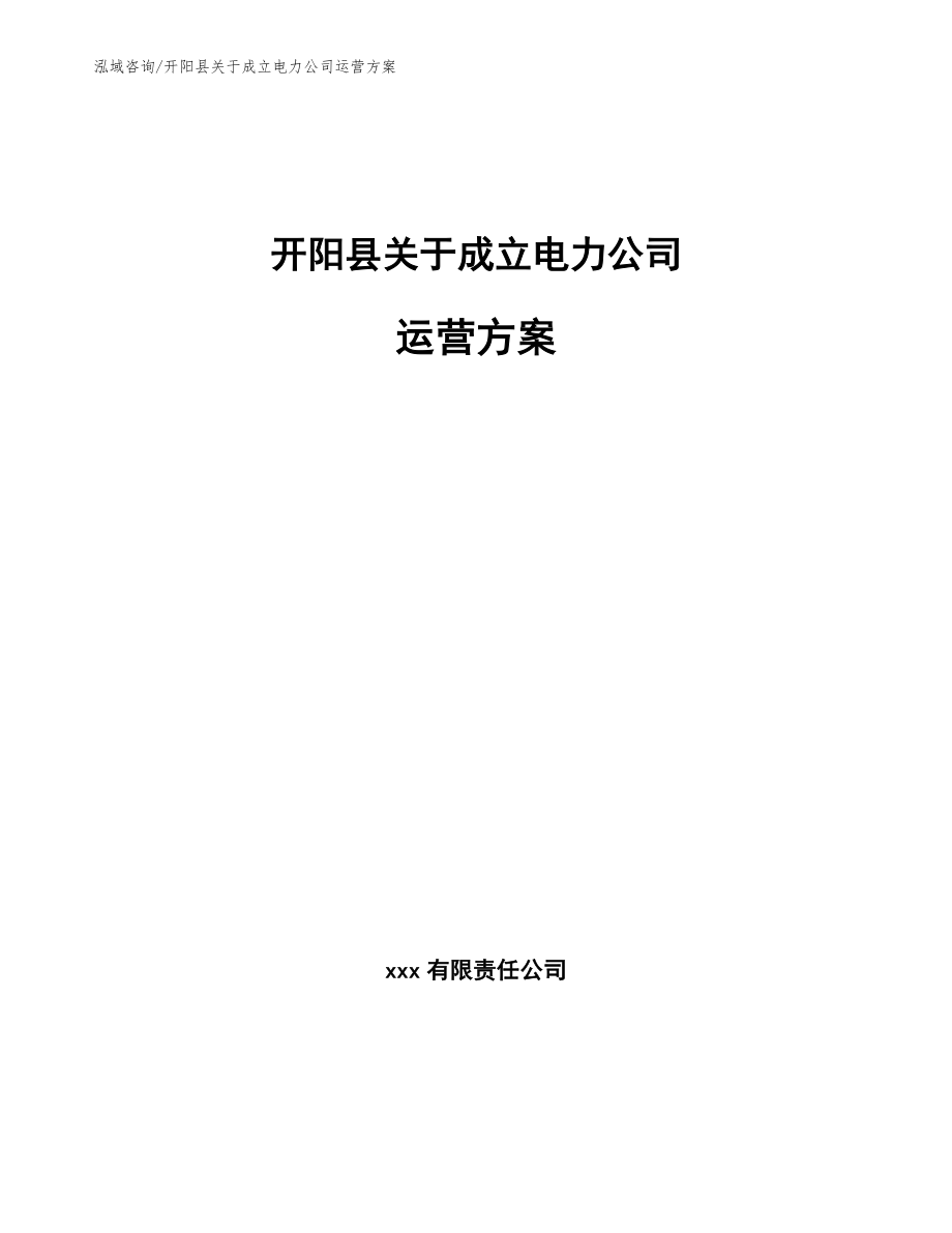 开阳县关于成立电力公司运营方案【参考模板】_第1页