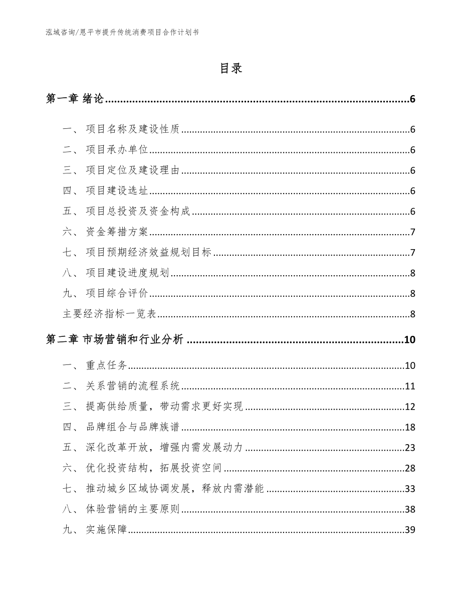 恩平市提升传统消费项目合作计划书范文参考_第1页