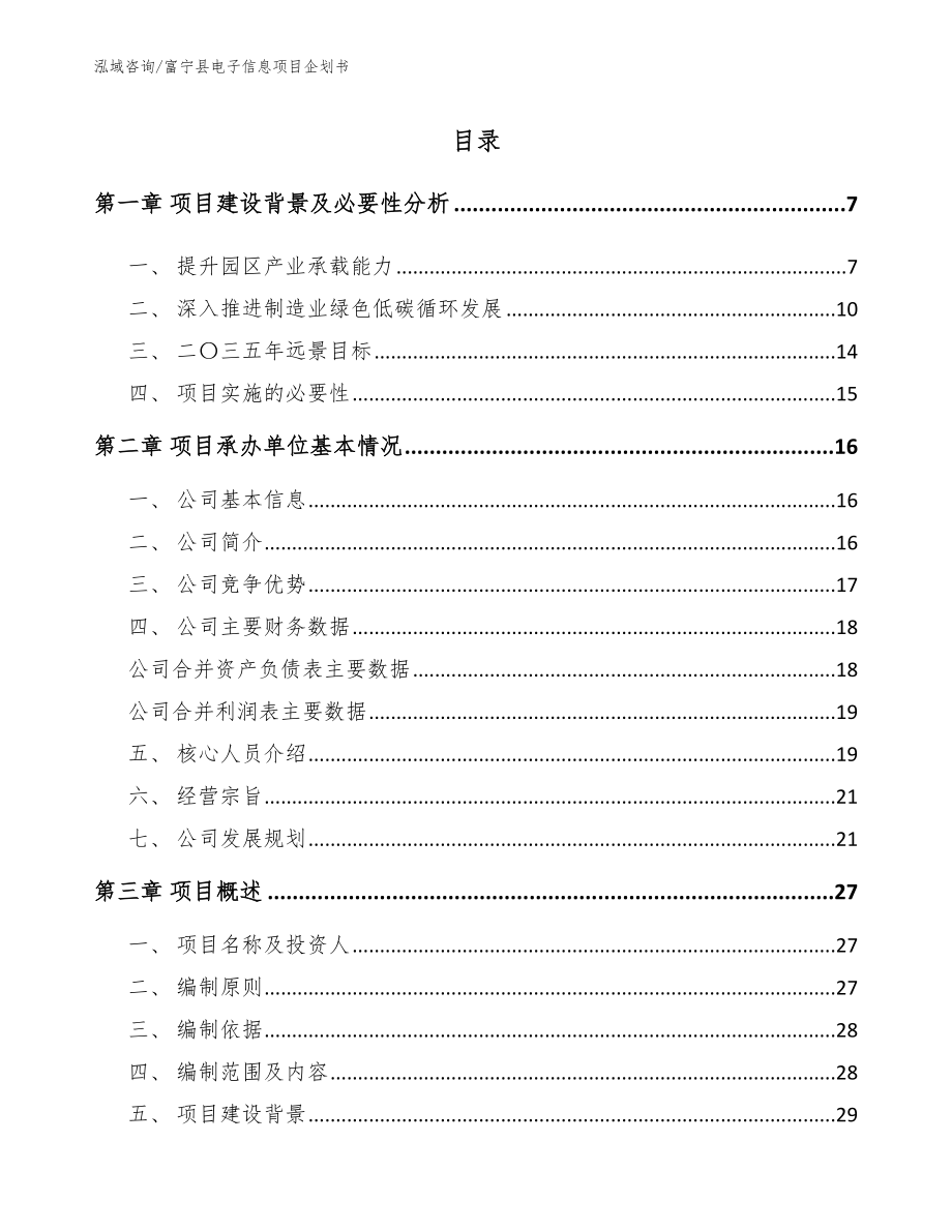 富宁县电子信息项目企划书_第1页