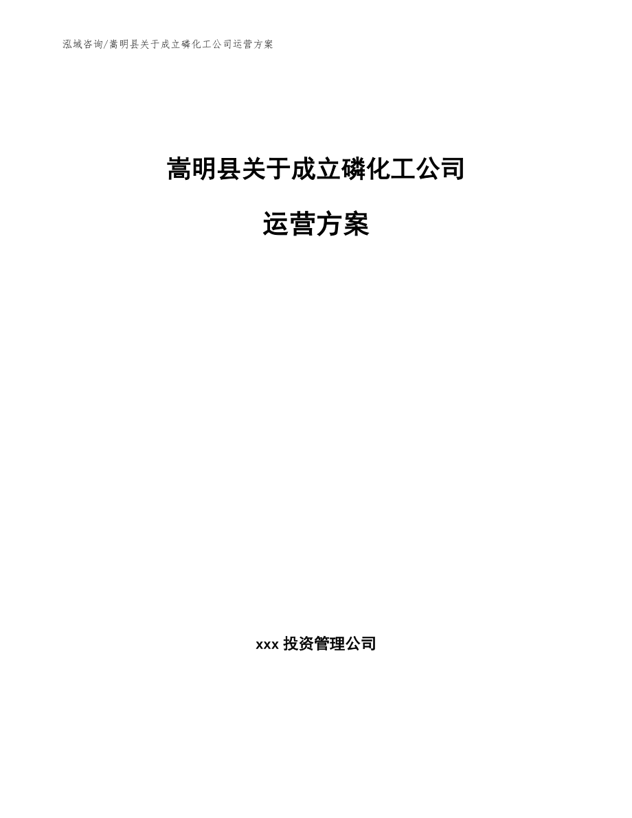 嵩明县关于成立磷化工公司运营方案_第1页