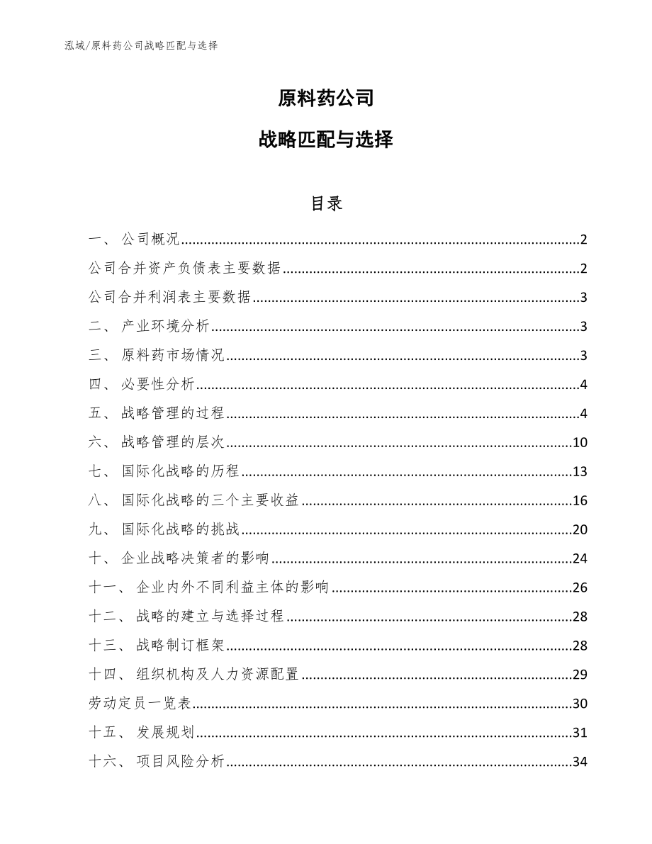 原料药公司战略匹配与选择（参考）_第1页