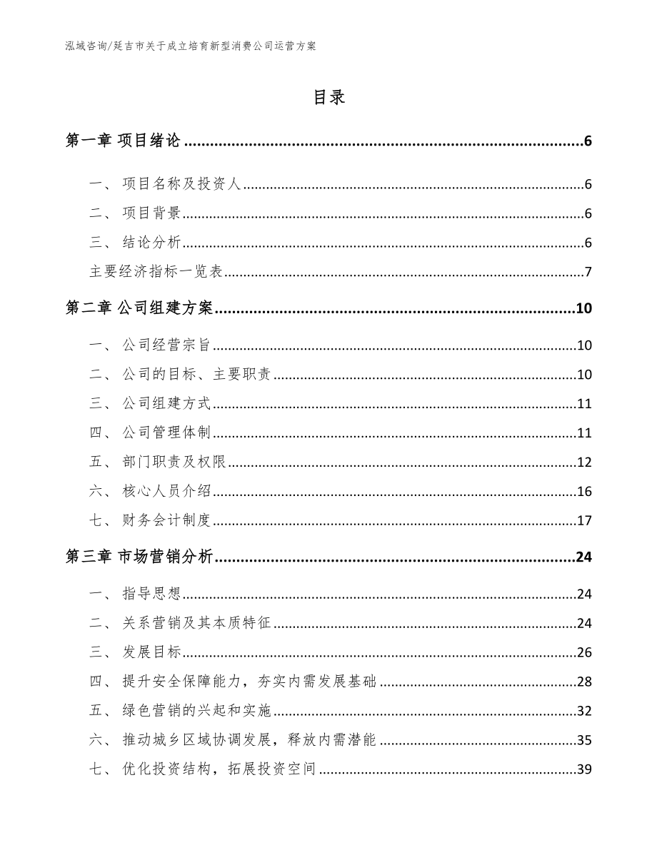 延吉市关于成立培育新型消费公司运营方案【范文模板】_第1页