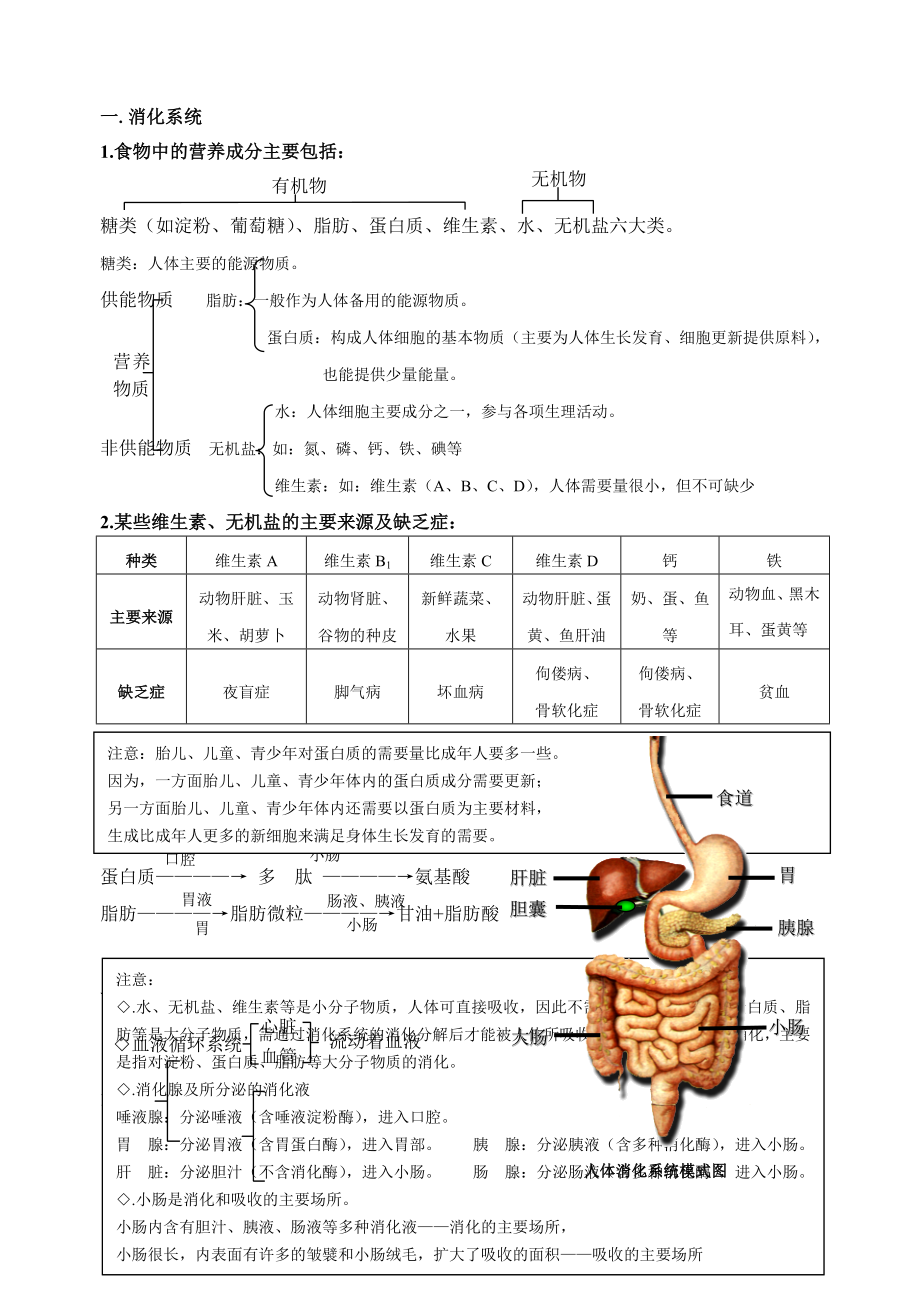 生物圈中的人知识要点_第1页