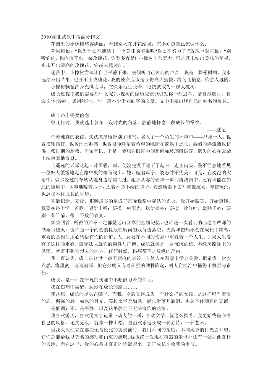 武汉市中考满分作文-成长路上需要信念20818_第1页