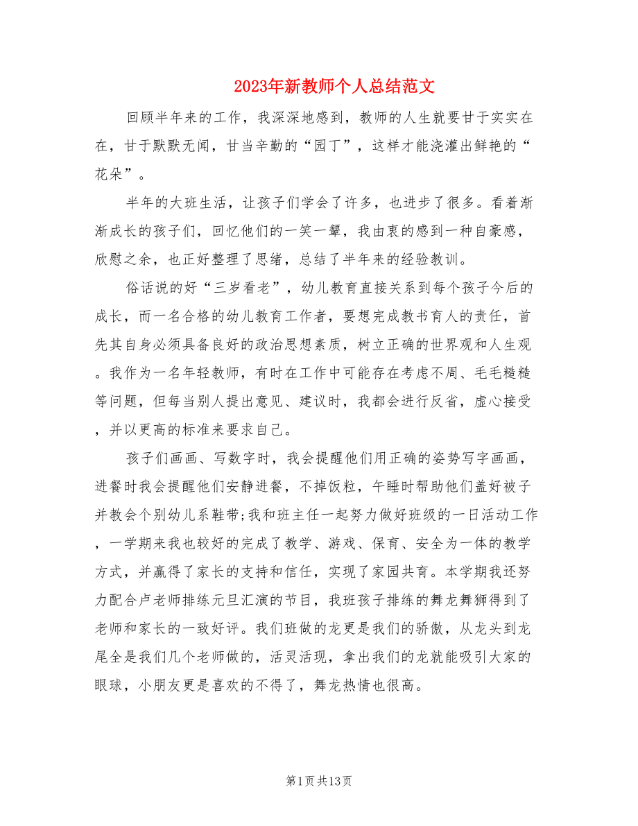 2023年新教师个人总结范文.doc_第1页