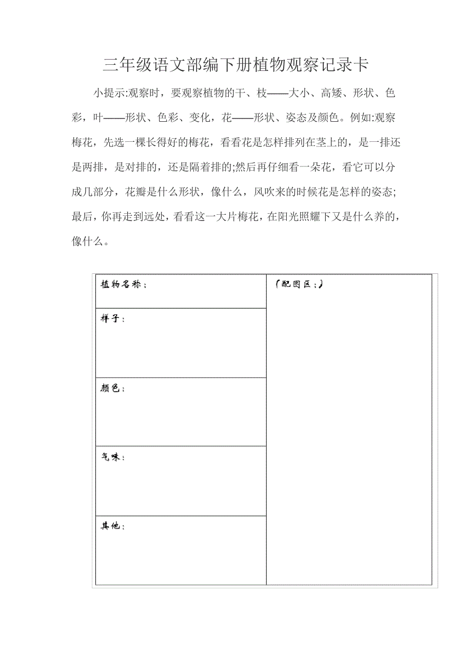 三年级语文部编下册植物观察记录卡27247_第1页