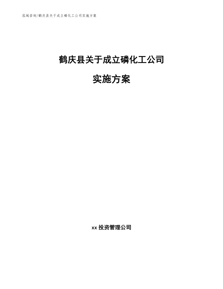 鹤庆县关于成立磷化工公司实施方案（模板参考）_第1页