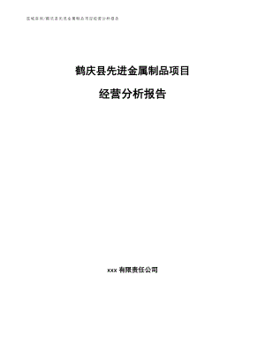 鹤庆县先进金属制品项目经营分析报告（模板参考）