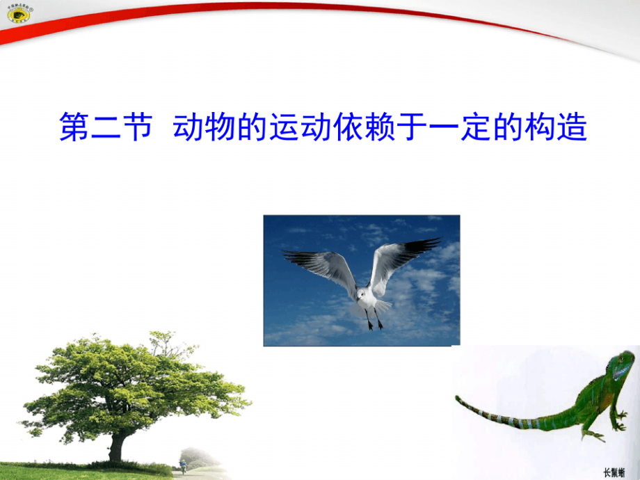 苏教版生物八年级上册172动物的运动依赖于一定的结构课件共22张PPT_第1页