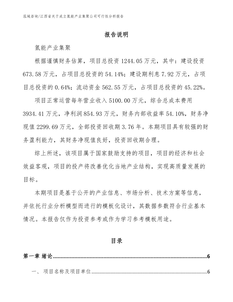 江西省关于成立氢能产业集聚公司可行性报告模板参考_第1页