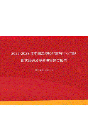 2022年混空轻烃燃气行业市场现状调研及投资决策建议报告16494