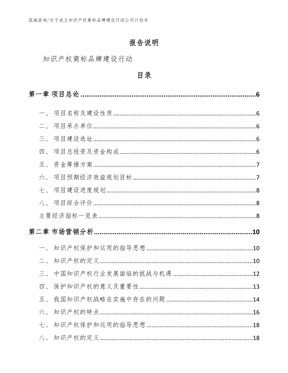 关于成立知识产权商标品牌建设行动公司计划书（模板参考）_第1页