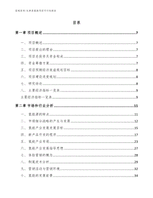 永新县氢能项目可行性报告（模板范文）
