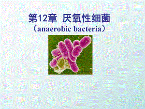 医学微生物学：第12章 厌氧性细菌
