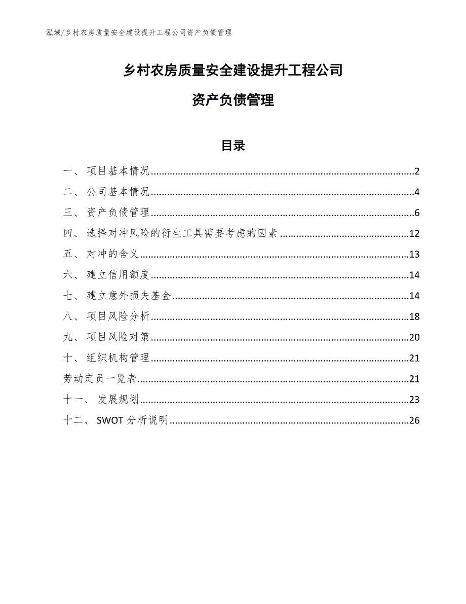 乡村农房质量安全建设提升工程公司资产负债管理_第1页