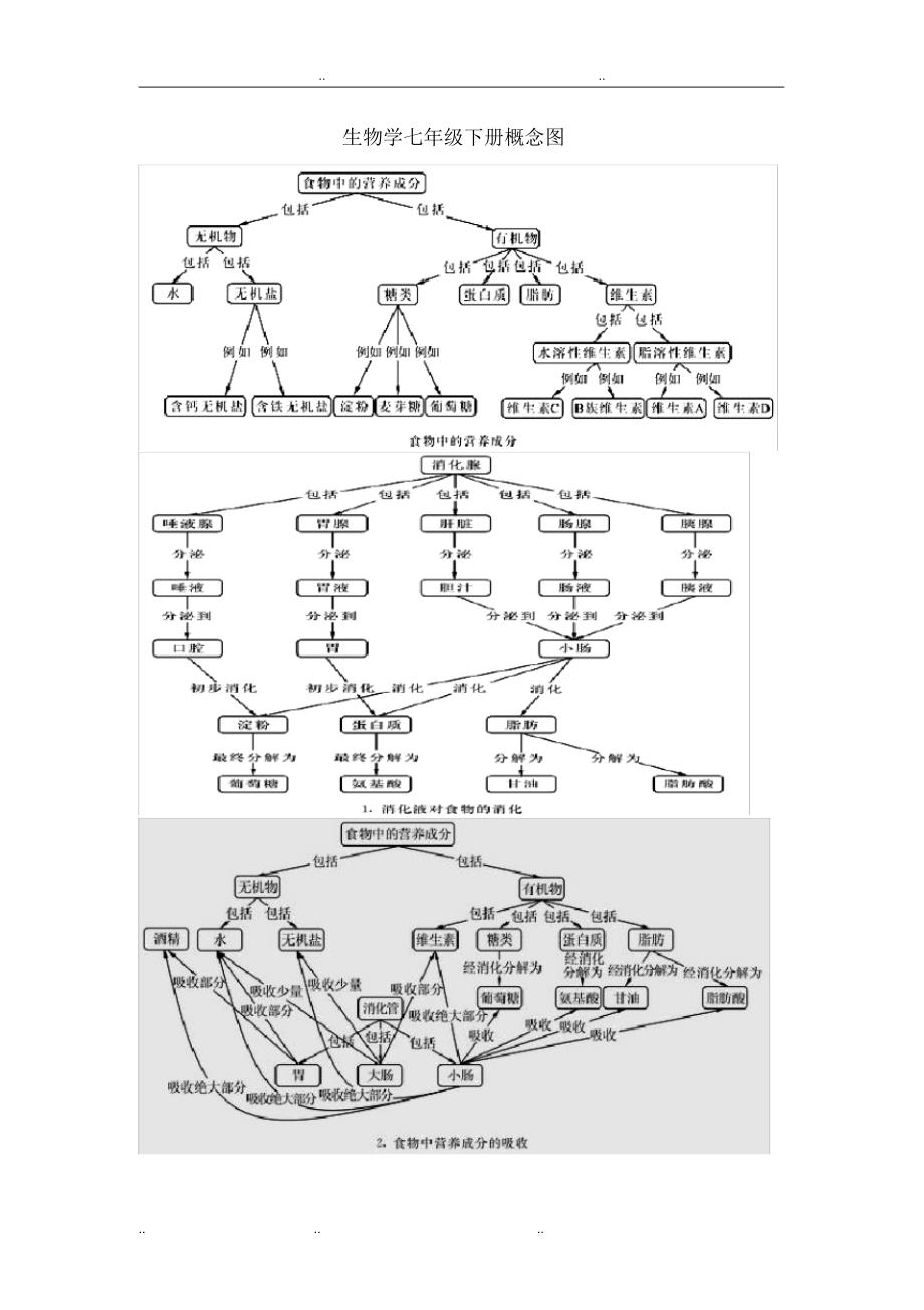 北师大生物七年级(下册)概念图(清晰版)_第1页