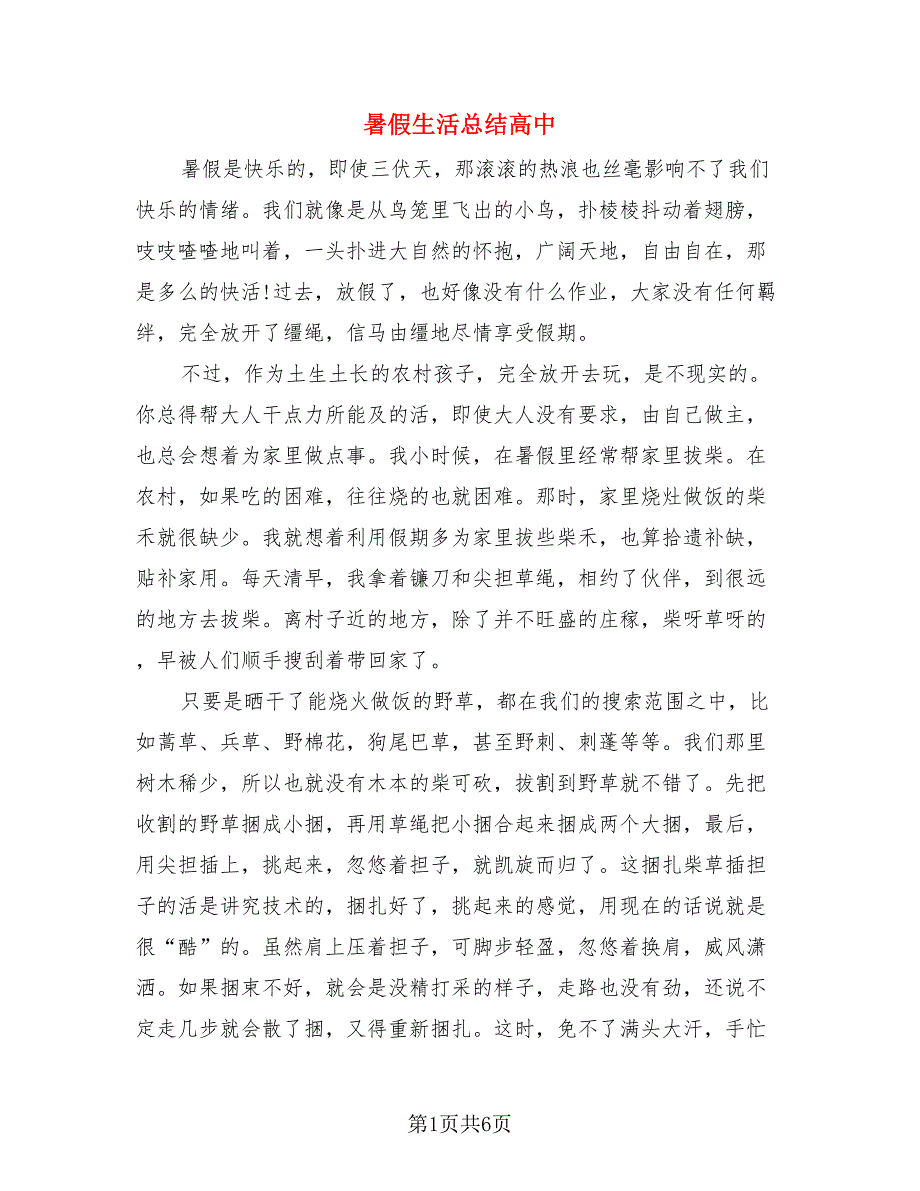暑假生活总结高中.doc_第1页