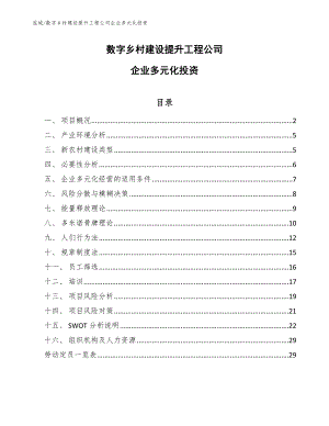 数字乡村建设提升工程公司企业多元化投资