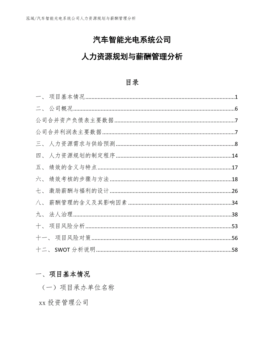 汽车智能光电系统公司人力资源规划与薪酬管理分析_范文_第1页