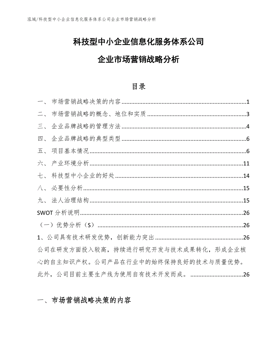 科技型中小企业信息化服务体系公司企业市场营销战略分析【参考】_第1页