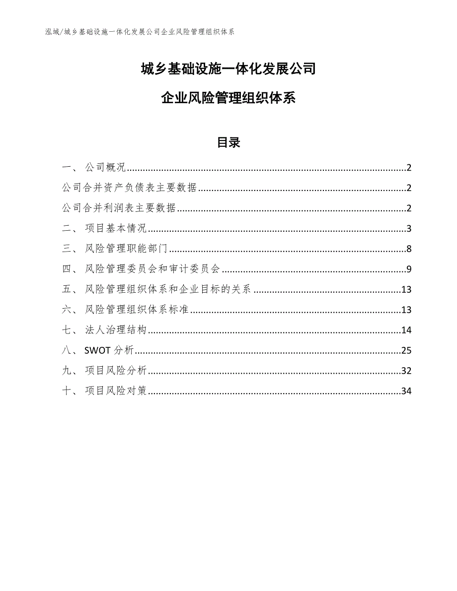 城乡基础设施一体化发展公司企业风险管理组织体系_范文_第1页