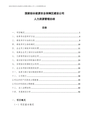 国家综合能源安全保障区建设公司人力资源管理总结【参考】