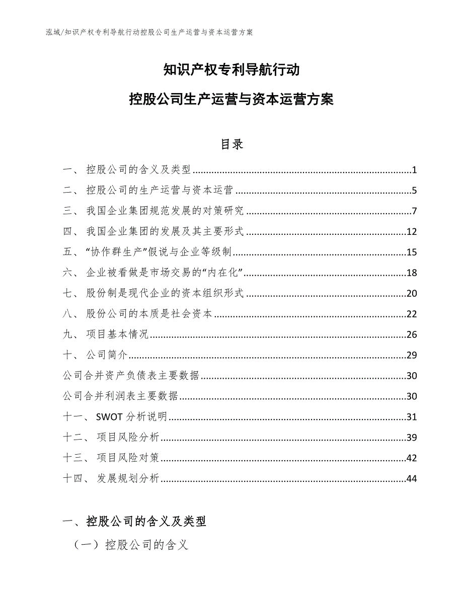 知识产权专利导航行动控股公司生产运营与资本运营方案_第1页