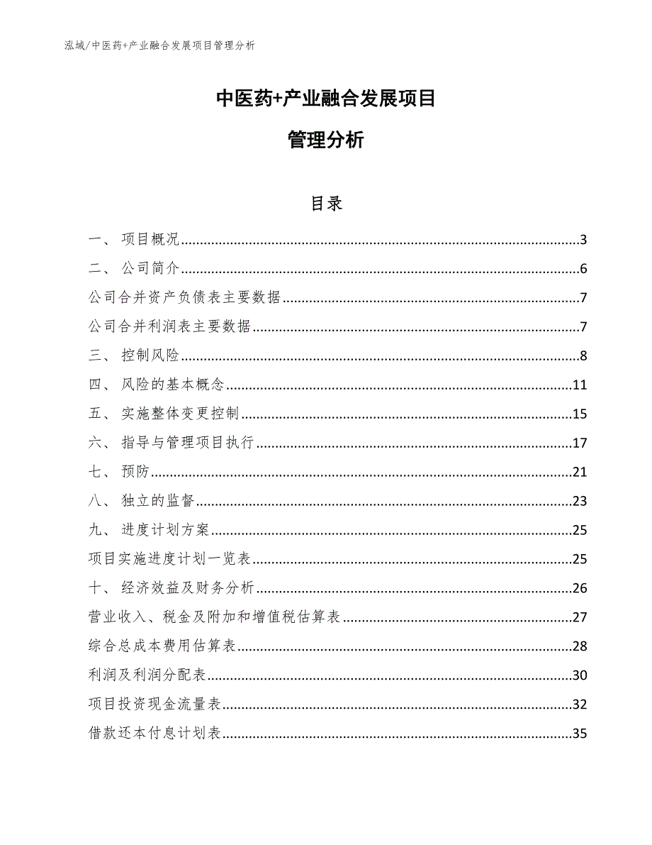 中医药+产业融合发展项目管理分析_第1页