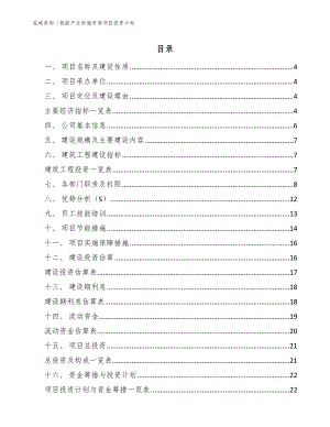 氢能产业设施布局项目投资计划_模板