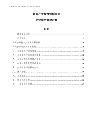 氢能产业技术创新公司企业信用管理计划