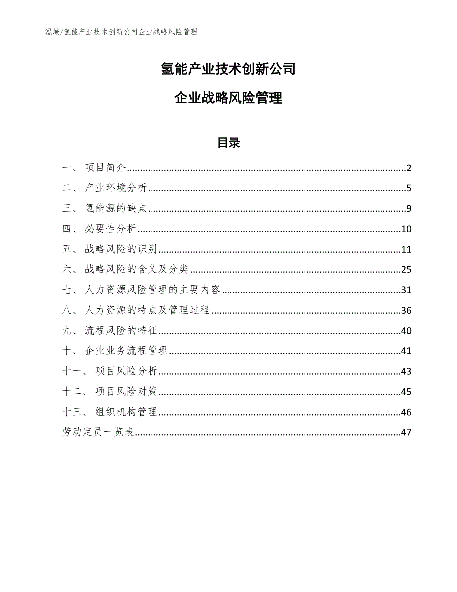 氢能产业技术创新公司企业战略风险管理_参考_第1页