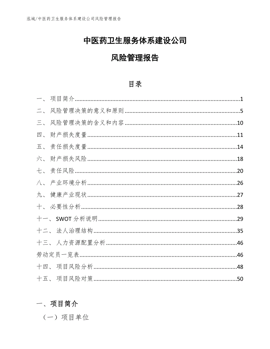 中医药卫生服务体系建设公司风险管理报告_范文_第1页