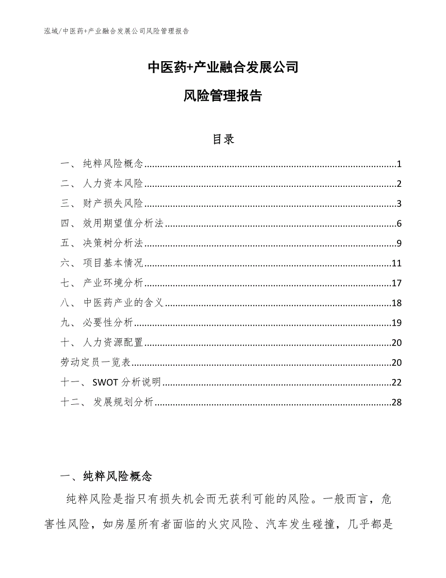 中医药+产业融合发展公司风险管理报告_范文_第1页