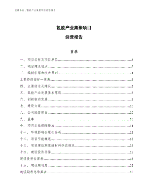 氢能产业集聚项目经营报告参考范文