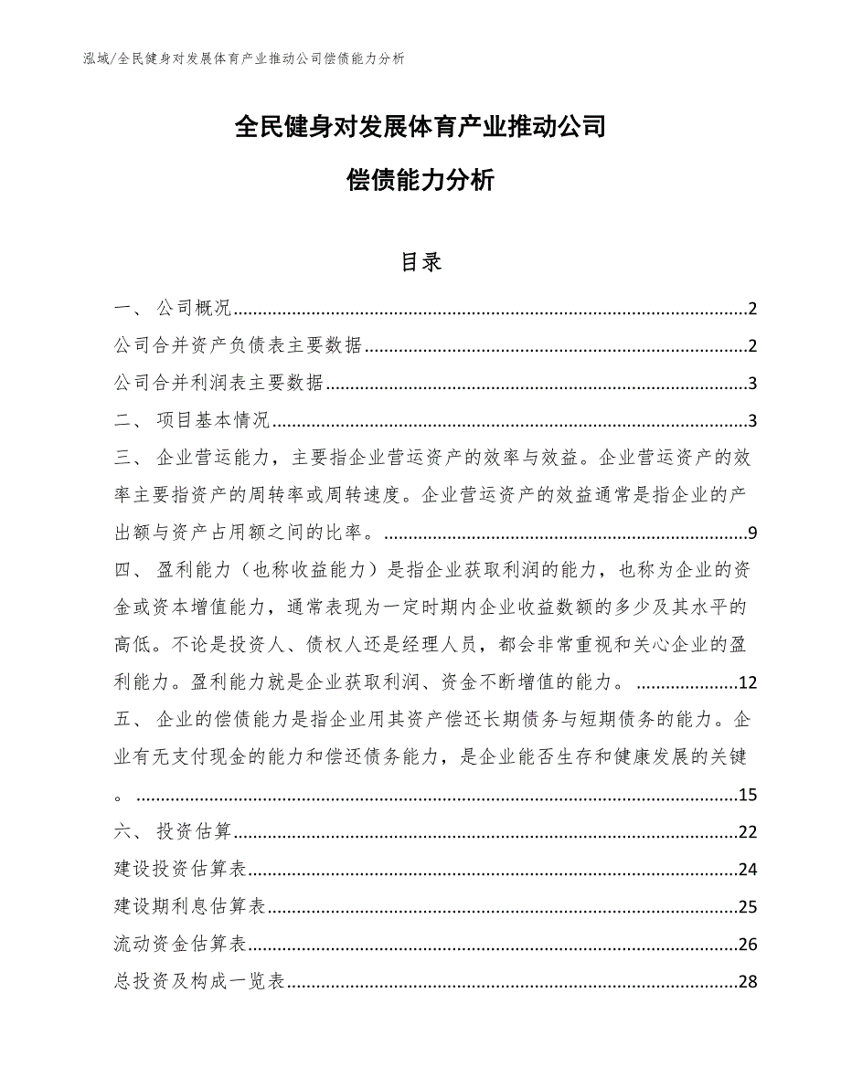 全民健身对发展体育产业推动公司偿债能力分析_第1页